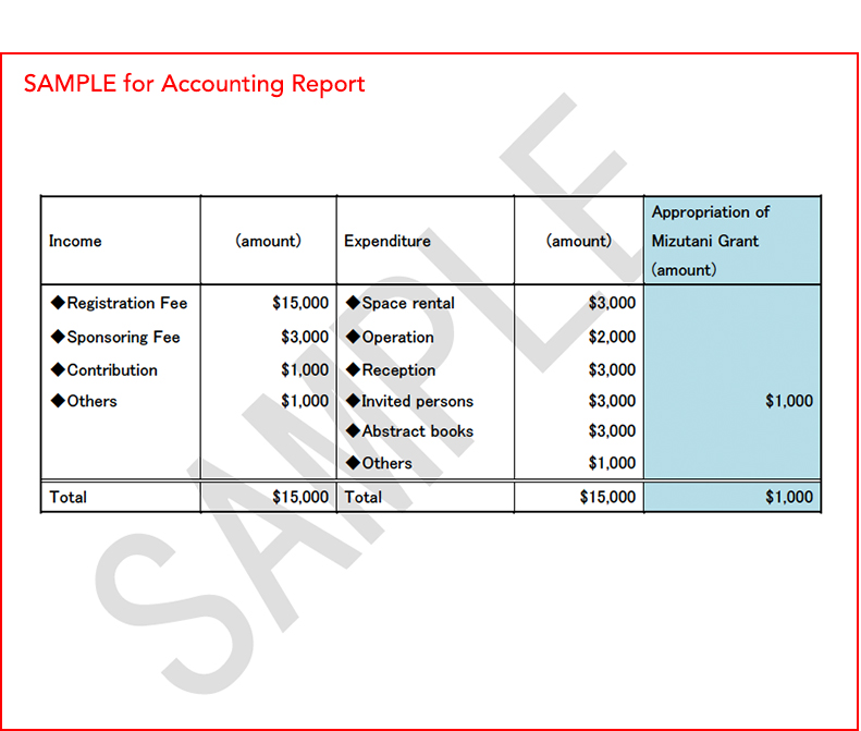 SAMPLE for Accounting Report